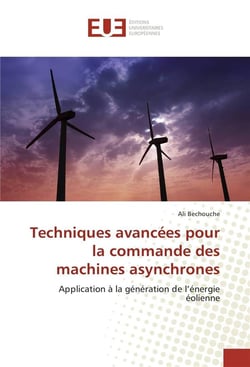 Techniques avancees pour la commande des machines asynchrones