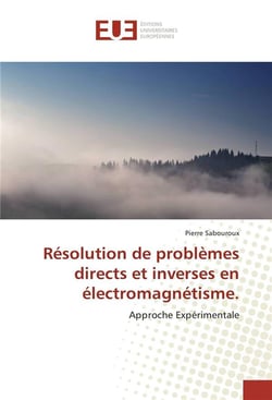 Resolution de problemes directs et inverses en electromagnetisme.