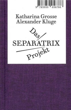 Alexander Kluge/Katharina Grosse : das separatrix project