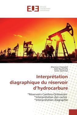 Interprétation diagraphique du réservoir d'hydrocarbure - réservoirs cambro-ordovicien, interprétation des cartes, interprétation diagraphie
