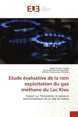 Etude évaluative de la non exploitation du gaz méthane du Lac Kivu : Impact sur l'économie, le social et l'environnement de la ville de Goma