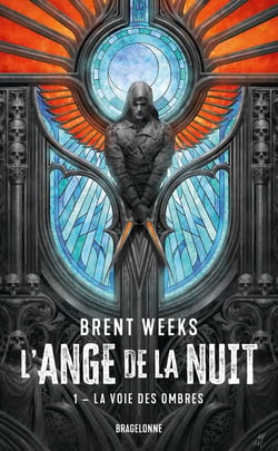L'ange de la nuit Tome 1 : La voie des ombres