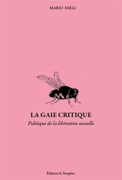 La gaie critique : Politique de la libération sexuelle
