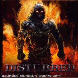 Indestructible