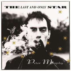 The Last And Only Star