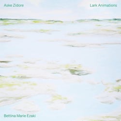 Lark Animations