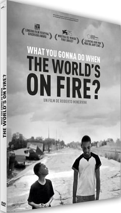 What You Gonna Do When the World's on Fire ?