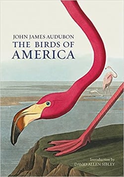 John james audubon the birds of america