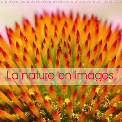 La nature en images (édition 2020)