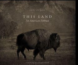 This land an american portrait /anglais