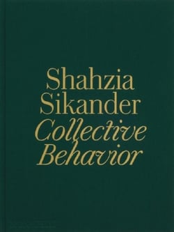 Shahzia Sikander : Collective behavior