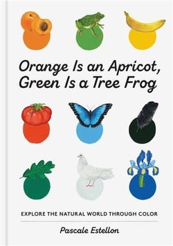Orange is an apricot, green is a tree frog
