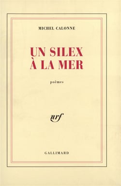 Un silex a la mer