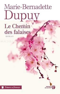 Le chemin des falaises
