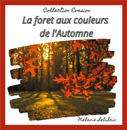 La forêt aux couleurs de l'automne