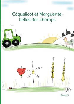 Coquelicot et marguerite, belles des champs - illustrations, couleur
