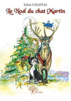 Le noël du chat martin