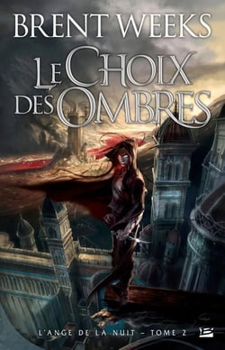 L'ange de la nuit Tome 2 : le choix des ombres