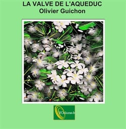 La valve de l'aqueduc