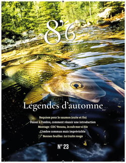 8'6 par pêches sportives n.23 : Légendes d'automne