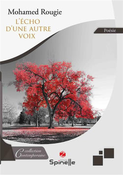 L'écho d'une autre voix