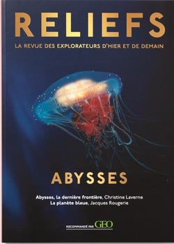 Reliefs : abysses