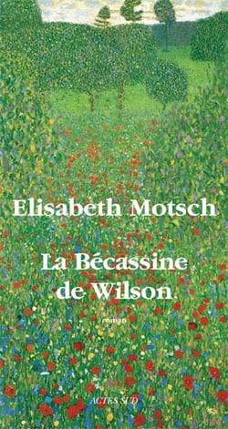La bécassine de Wilson