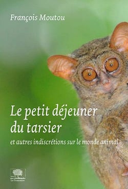 Le petit déjeuner du tarsier et autres indiscrétions du monde animal