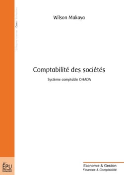 Comptabilité des sociétés : système comptable OHADA