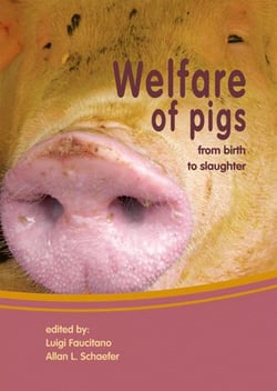 Welfare of pigs - from birth to slaughter