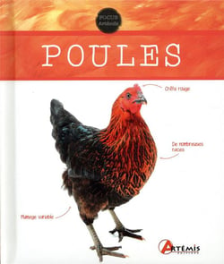 Poules
