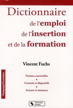 Dictionnaire de l'insertion, de l'emploi et de la formation