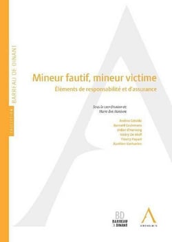 Mineur fautif, mineur victime - éléments de responsabilité et d'assurance