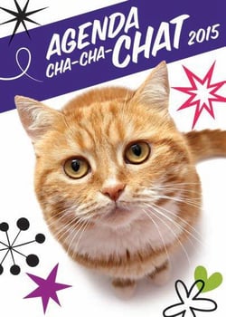 Agenda cha-cha-chat 2015