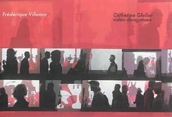 Catherine gfeller : vidéo-divagations