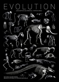Évolution
