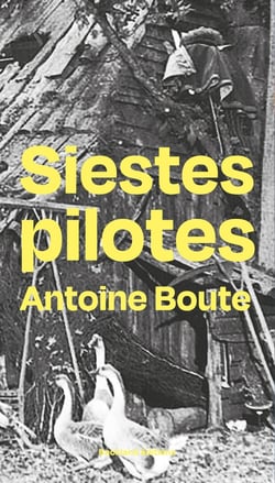 Siestes pilotes