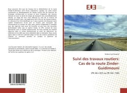 Suivi des travaux routiers: cas de la route zinder-guidimouni - (pk 4'06+825 au pk 58+100)