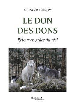 Le don des dons