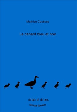 Le canard bleu et noir