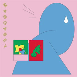 Illusion - Vinyle