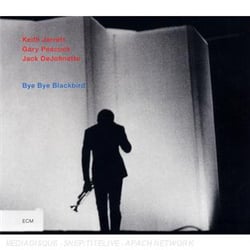Bye bye blackbird
