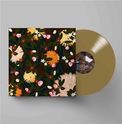 Noise Floor (Rarities: 1998-2005) - édition colorée