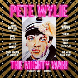 Teach Yself Wah - The Best Of Pete Wylie