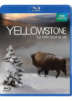 Yellowstone, la lutte pour la vie