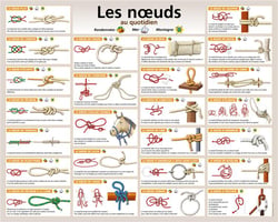 Les noeuds
