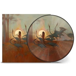 Les chants de l'aurore