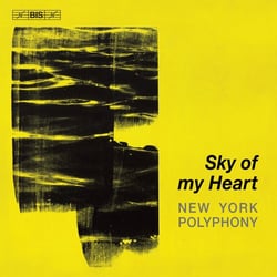 Sky of my Heart