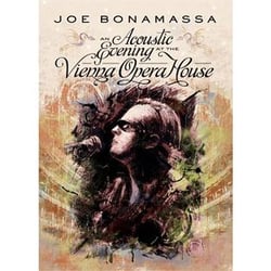 An acoustic evening at the Vienna opera house