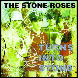 Turns into stone